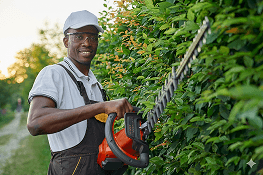Service de jardinage et tonte de pelouse en Guadeloupe